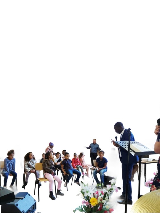 Bio-shroom Rejuvenating Serum